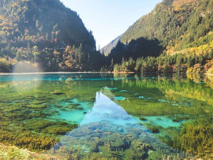 7 Reasons Cruising Is a Great Way to See the World